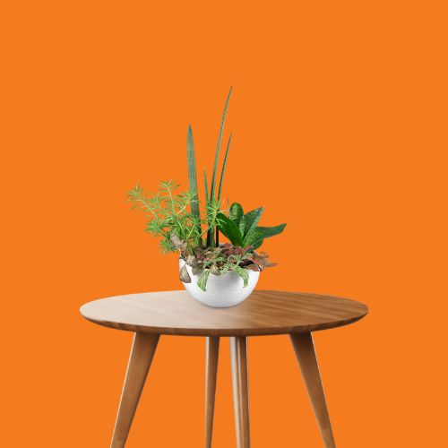 Mircopro Backdrop Paper (2.75 m  x 11 m) - Happy Orange (DS2109)