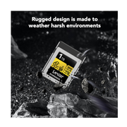 Lexar 1TB Type A Gold Memory Card