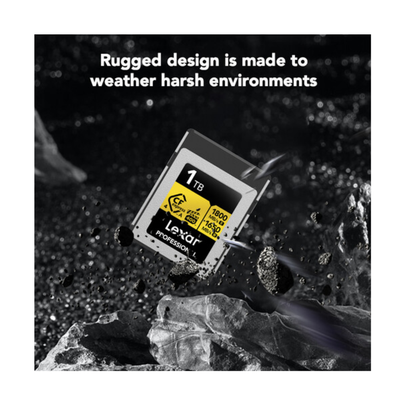 Lexar 1TB Type A Gold Memory Card