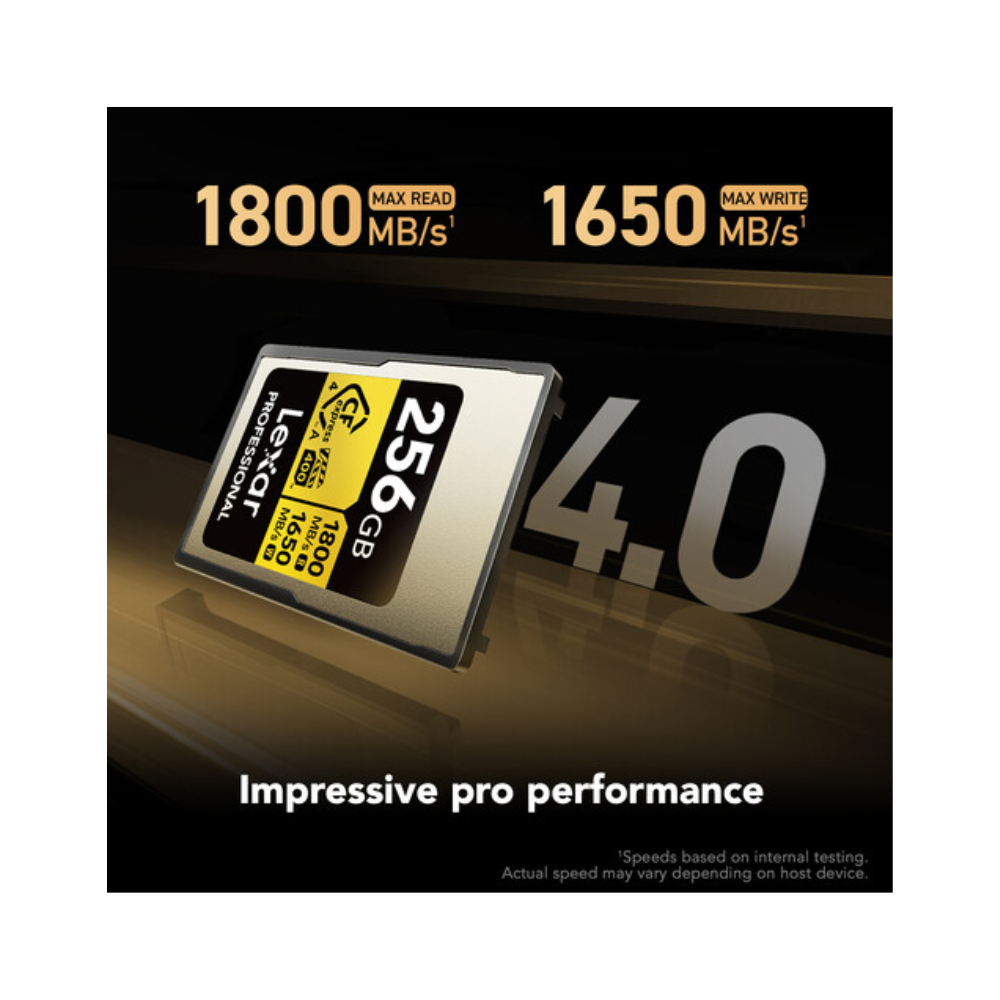 Lexar 256GB Type A Gold Memory Card
