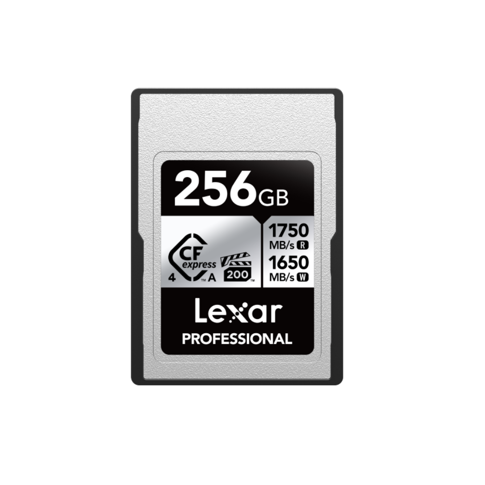 Lexar 256 Type A Silver Memory Card