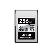 Lexar 256 Type A Silver Memory Card