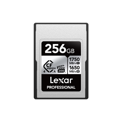 Lexar 256 Type A Silver Memory Card