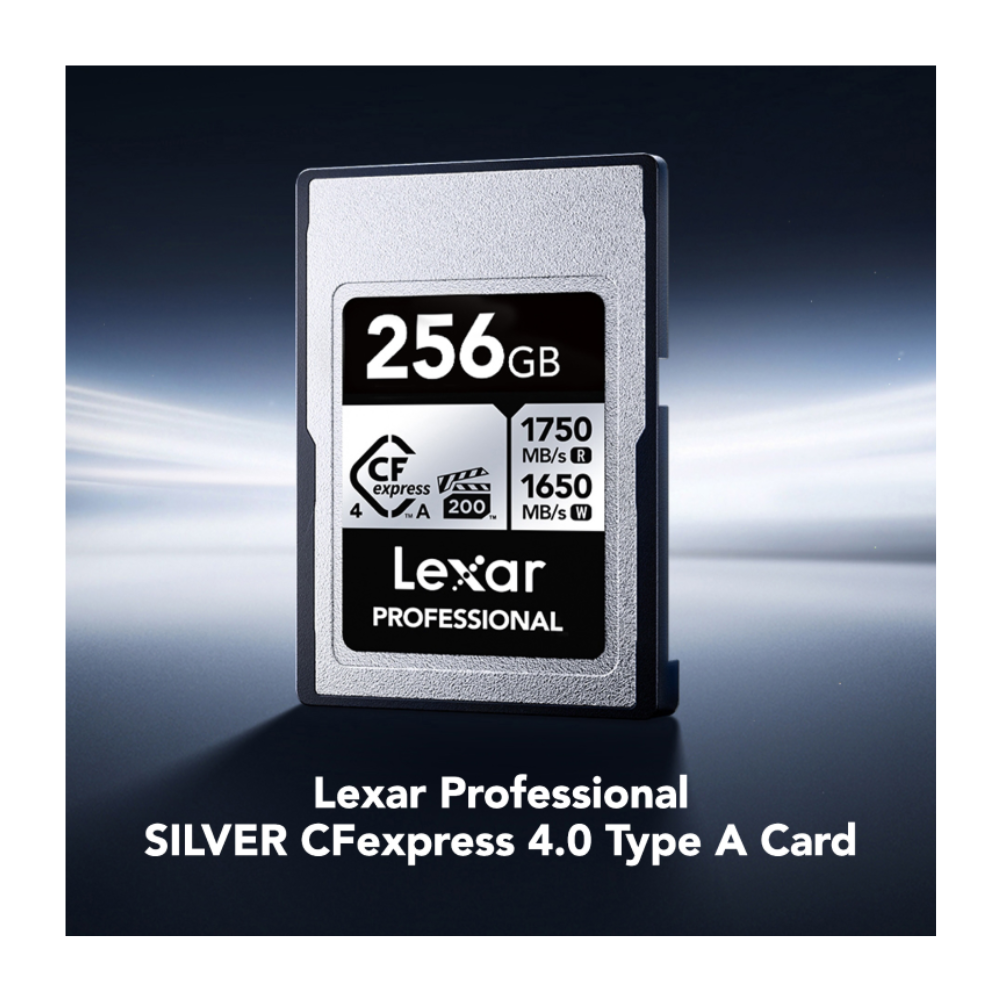 Lexar 256 Type A Silver Memory Card