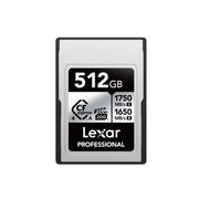 Lexar 512 Type A Silver Memory Card