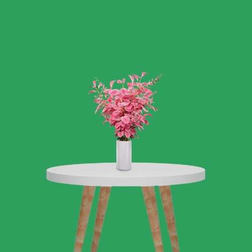 PROMAGE Seamless Multi-Color Background Paper (2.72 m x 11 m)