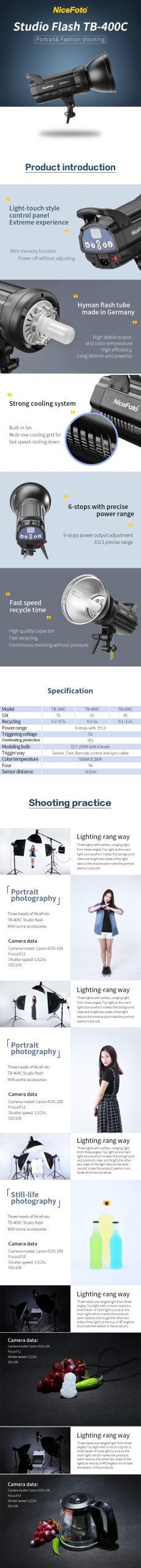 NiceFoto 2 Studio Flash Kit KT-TB433