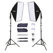 Nicefoto KT-1308 Professional 2 Light Kit LED 450 45W LED Lamp Set