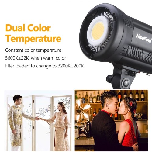 NiceFoto Mini Softbox with diffuser S60x90CM