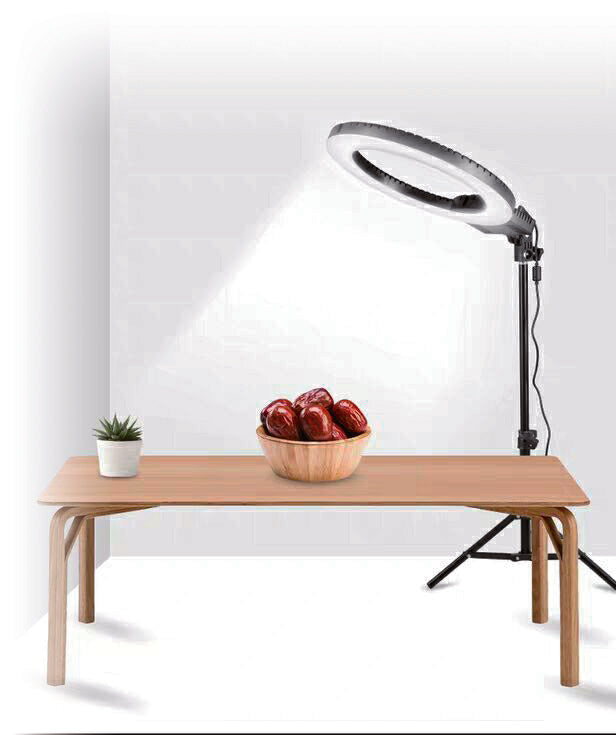 Promage 18 Inch Ring Light LED With Stepless Dimming, 180 Degree Rotating &amp; USB Interface