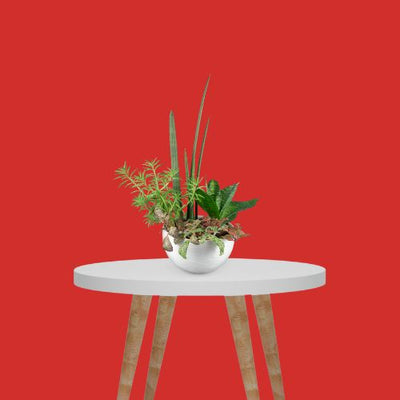 Mircopro Backdrop Paper (2.75 m  x 11 m) - Red (DS2100C)