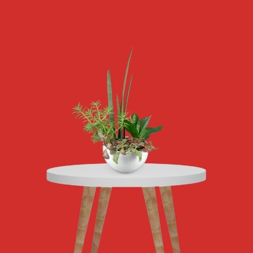 Mircopro Backdrop Paper (2.75 m  x 11 m) - Red (DS2100C)
