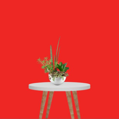 PULUZ 3 x 6 m Photography Cloth Backdrop - Red
