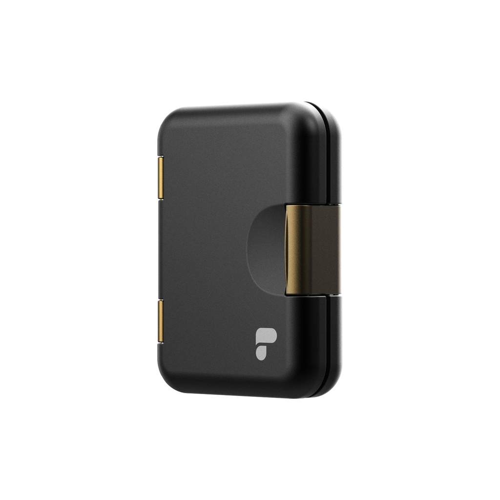 PolarPro XQD Edition Slate Memory Card Case, Stores 4 XQD Cards, 4 SD Cards and 4 MicroSD Cards (Black)