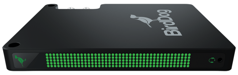 BirdDog Studio NDI