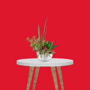 PROMAGE Seamless Multi-Color Background Paper (2.72 m x 11 m) - Scarlet (PM-PB56)
