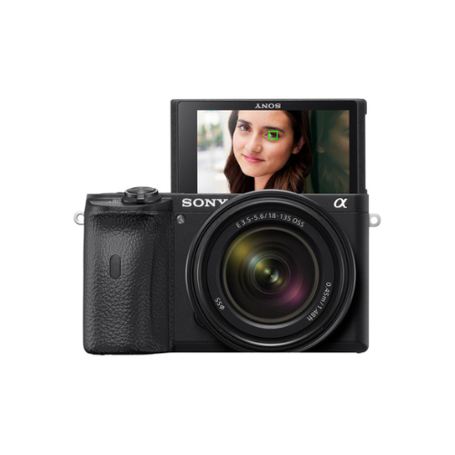 Sony a6600 Mirrorless Camera