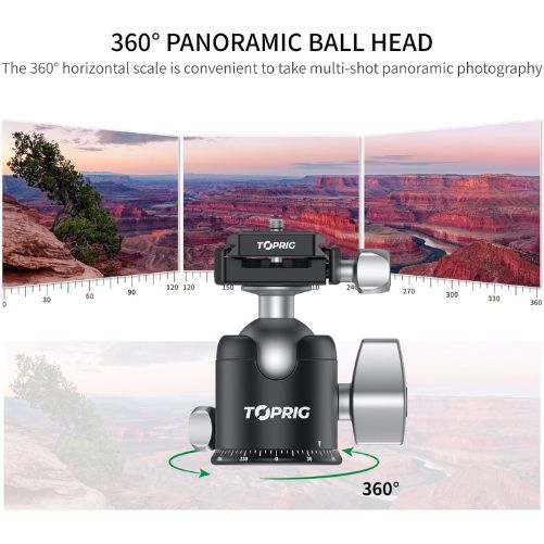 Accsoon TOPRIG BH-01 360° Panoramic Ball Head