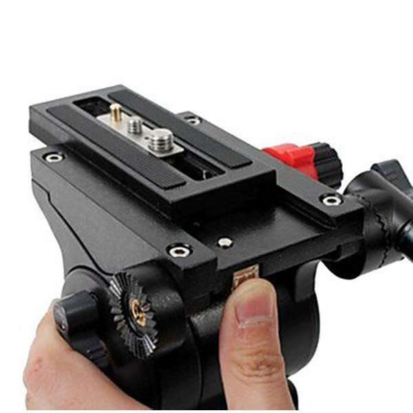 Diat Professional Tripod - A203FTVP40P