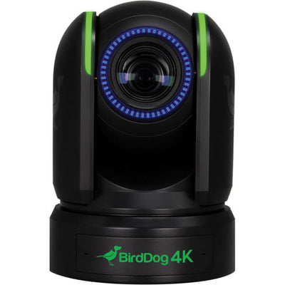 BirdDog P4K 4K Full NDI PTZ Camera with 1"" Sony Sensor (Black)