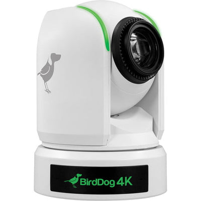 BirdDog P4K 4K Full NDI PTZ Camera with 1"" Sony Sensor (White)