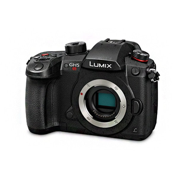 Panasonic Lumix DC-GH5S Mirrorless Micro Four Thirds Digital Camera