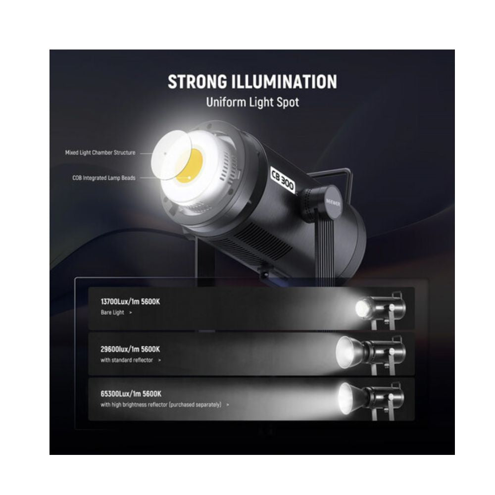 NEEWER CB300C RGB LED MONOLIGHT