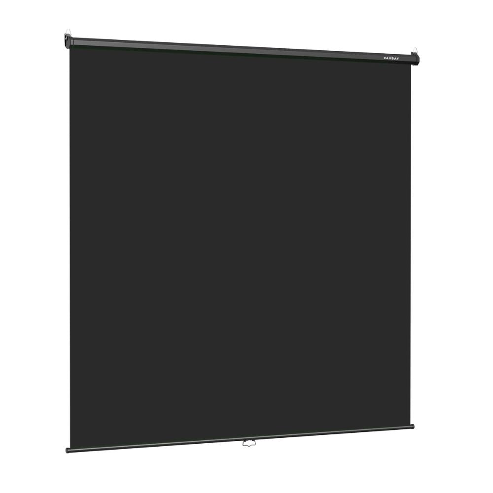 Raubay TWS220 Pull Down Projection Screen 200x220cm (White)