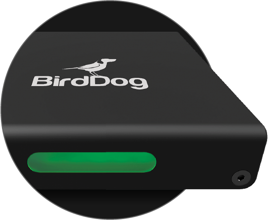 BirdDog Mini