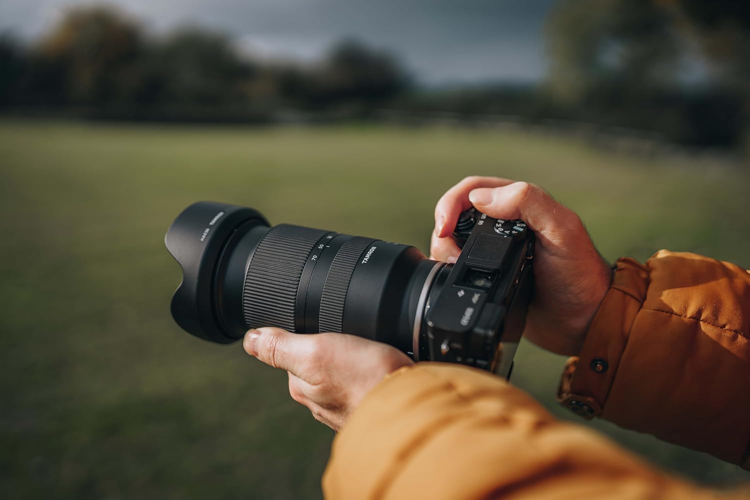 Tamron 17-70mm f/2.8 Di III-A VC RXD Lens (Sony E)