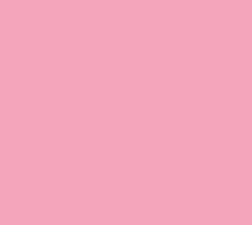 Promage Carnation Pink Seamless Paper Background PM-PB17 (2.72*11m)