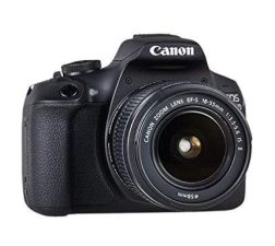 Canon EOS 2000D 18-55 IS, 24.1 MP, DSLR Camera, Black