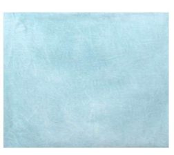 Promage Backdrop – WOB2002 3*6M Blue Color