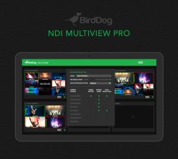 BirdDog Multiview Pro