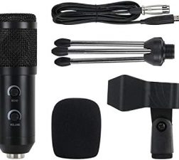 BORL PROFESSIONAL CONDENSOR MICROPHONE WITH FILTER & STAND BM800